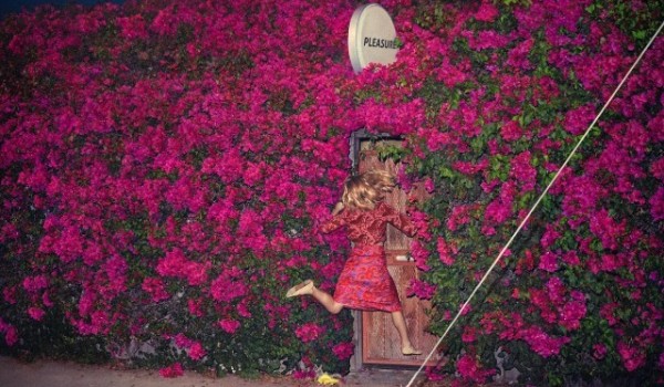 Album Image for Feist - Pleasure (Released 2017-04-28  by Universal)