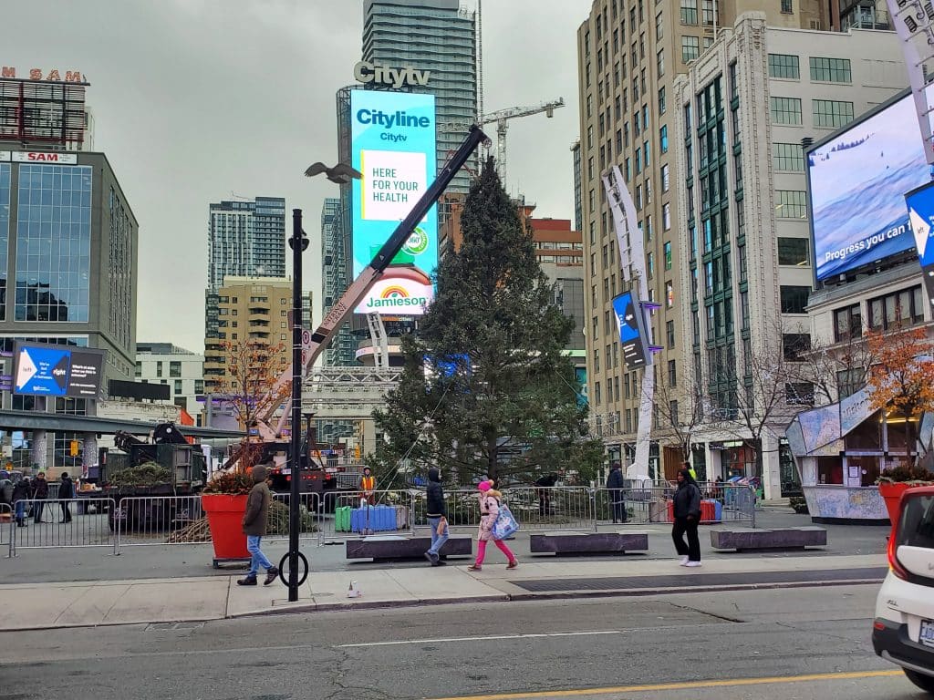 40 foot ‘Tree of Remembrance’ raised at Younge and Dundas to raise ...